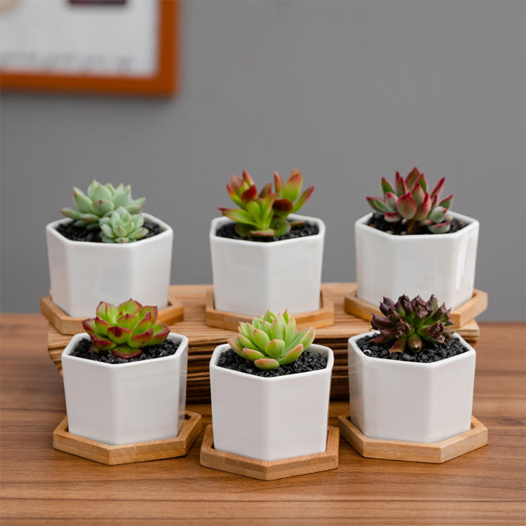 Ceramic Pots 3