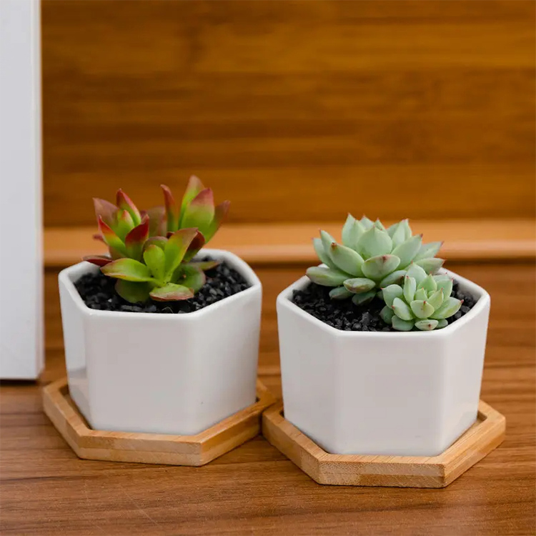 Ceramic Pots 4