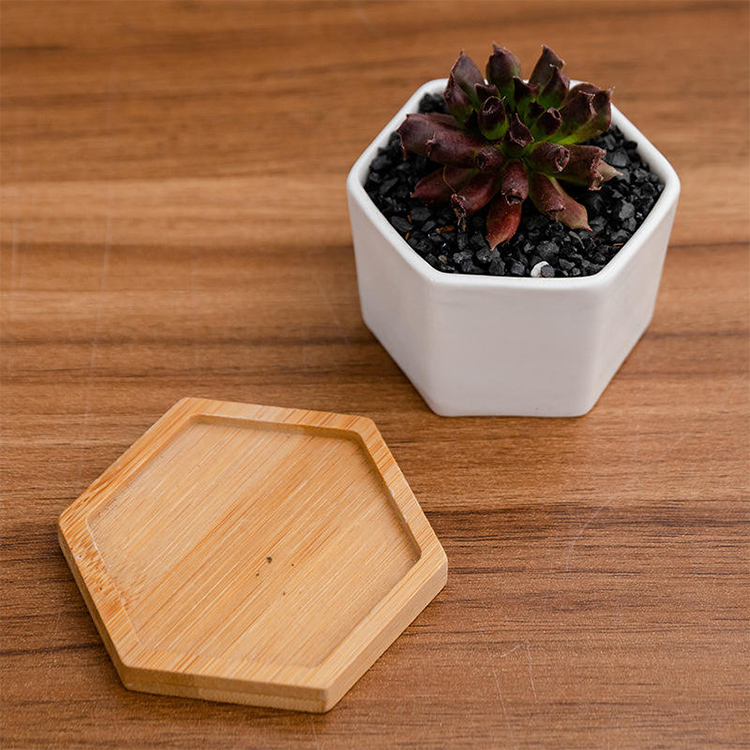 Ceramic Pots 5