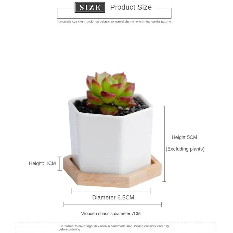 Ceramic Pots 6