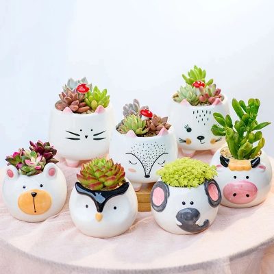 Ceramic Pots 1 14 400x400