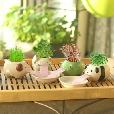 Ceramic Pots 1 17 400x400