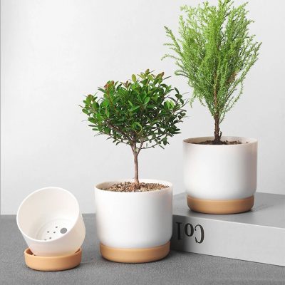 Ceramic Pots 2 7 400x400