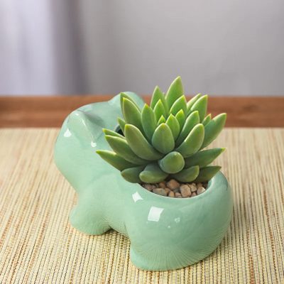 Ceramic Pots 3 13 400x400