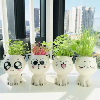 Ceramic Pots 3 2 400x400