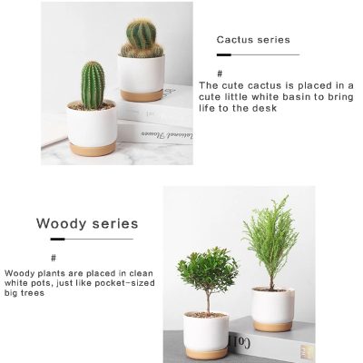 Ceramic Pots 3 7 400x400