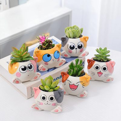 Ceramic Pots 5 14 400x400