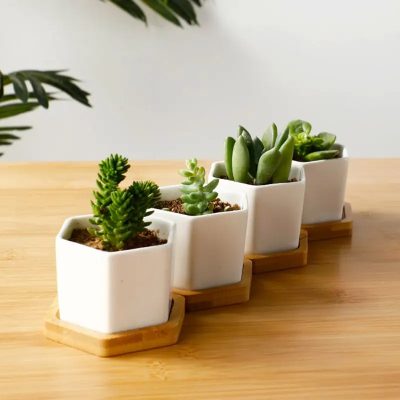 Ceramic Pots 5 6 400x400