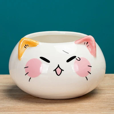 Ceramic Pots 6 18