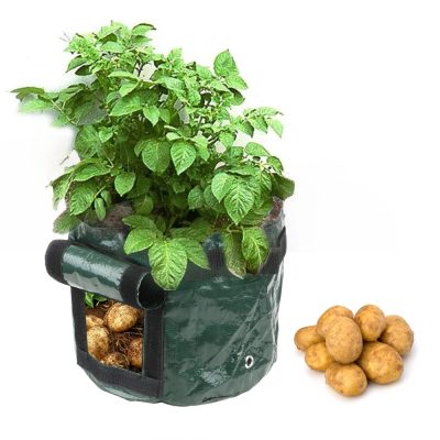 Grow Bags 2 24 400x400