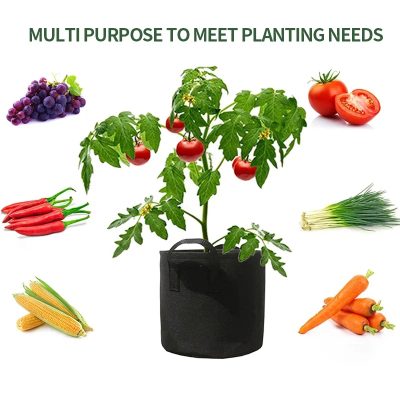 Grow Bags 2 4 400x400