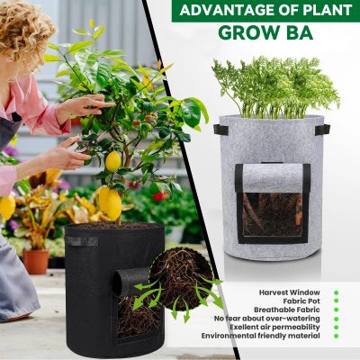Grow Bags 3 11 400x400