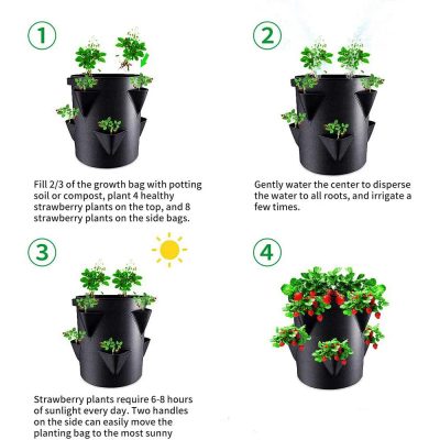 Grow Bags 3 22 400x400