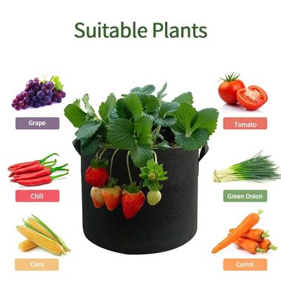 Grow Bags 3 4 400x400
