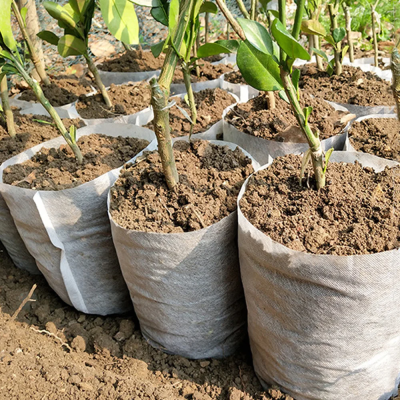 Grow Bags 3 400x400