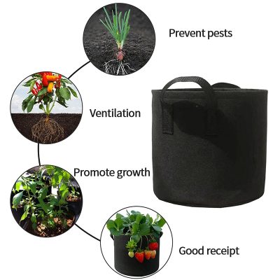 Grow Bags 3 8 400x400