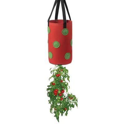 Grow Bags 4 10 400x400