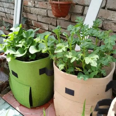Grow Bags 4 20 400x400