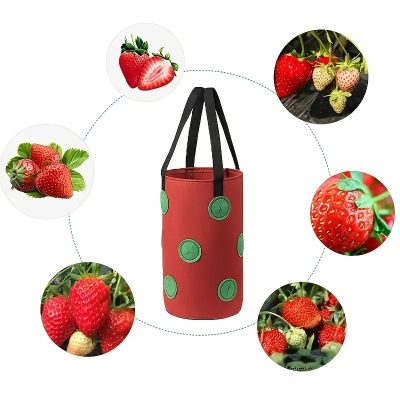 Grow Bags 5 10 400x400