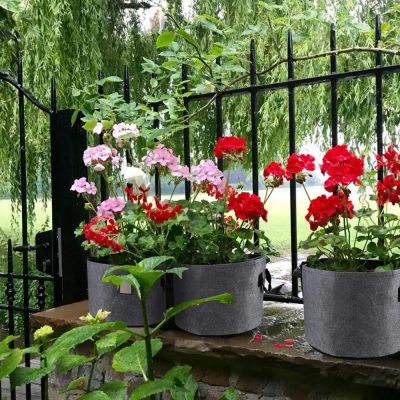 Grow Bags 5 15 400x400