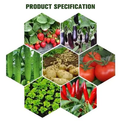 Grow Bags 6 1 400x400