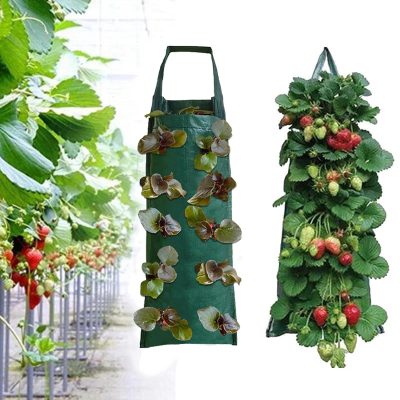 Grow Bags 6 13 400x400