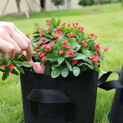 Grow Bags 6 2 400x400