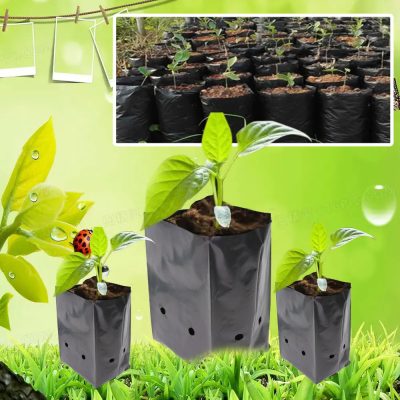 Grow Bags 6 22 400x400