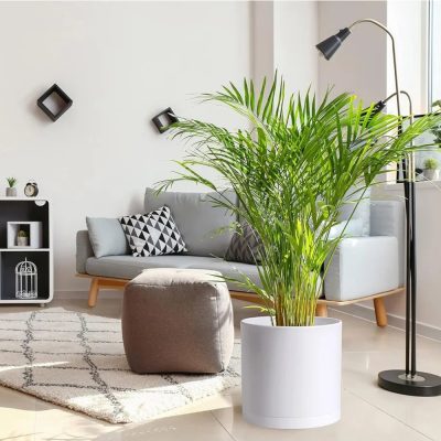 Large Plastic Pots 1 12 400x400