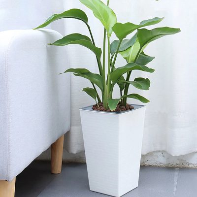 Large Plastic Pots 1 13 400x400