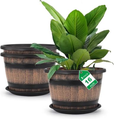 Large Plastic Pots 1 2 385x400