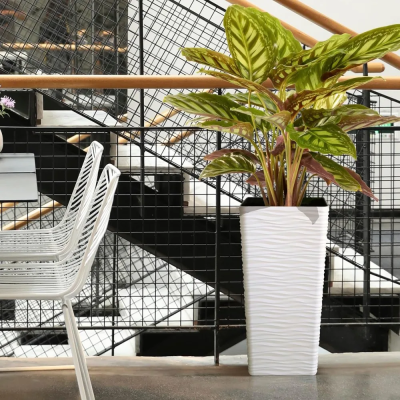 Large Plastic Pots 1 400x400
