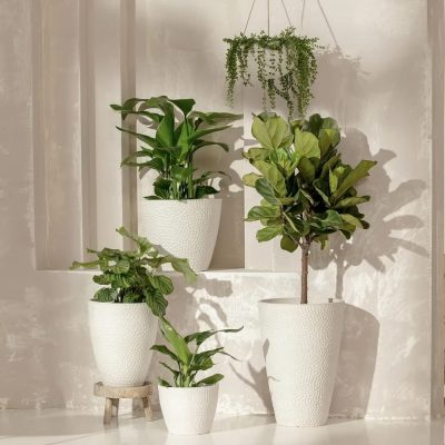 Large Plastic Pots 2 10 400x400