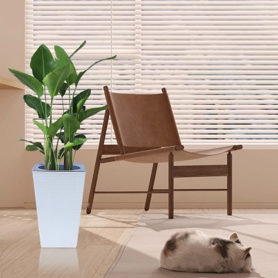 Large Plastic Pots 2 14 400x400