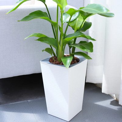 Large Plastic Pots 2 15 400x400