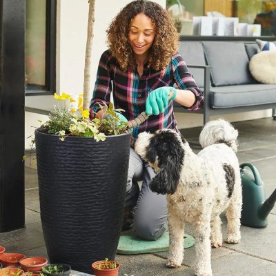 Large Plastic Pots 4 10 400x400
