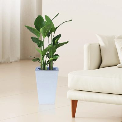 Large Plastic Pots 4 13 400x400