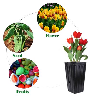 Large Plastic Pots 4 19 400x400