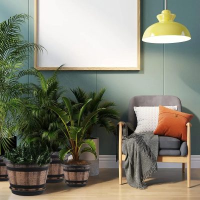 Large Plastic Pots 5 3 400x400