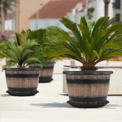 Large Plastic Pots 6 2 400x400