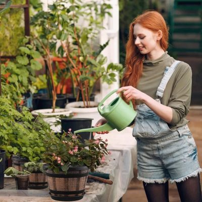 Large Plastic Pots 6 3 400x400