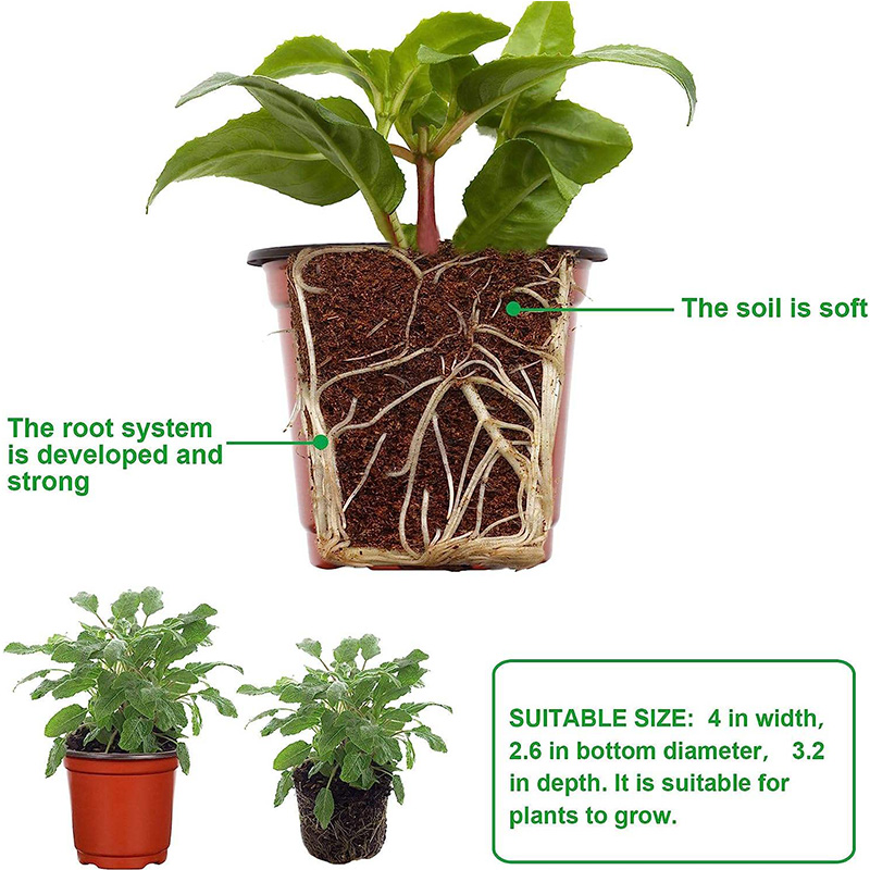 Plastic Nursery Pots 3 1