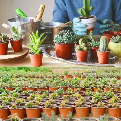 Plastic Nursery Pots 5 400x400