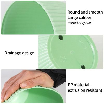 Plastic Pot 6 400x400