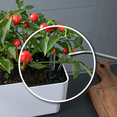 Plastic Pots 1 14 400x400