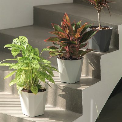 Plastic Pots 1 2 400x400