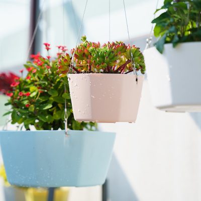 Plastic Pots 1 3 400x400