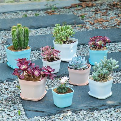Plastic Pots 1 5 400x400
