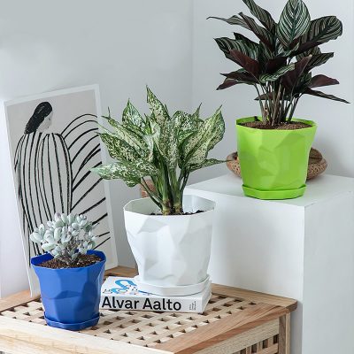 Plastic Pots 1 6 400x400