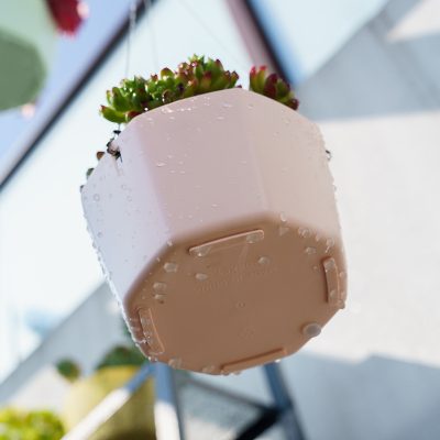 Plastic Pots 1 8 400x400